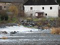 foto Zajíc30